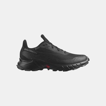 Picture of SALOMON ALPHACROSS 5 GTX W